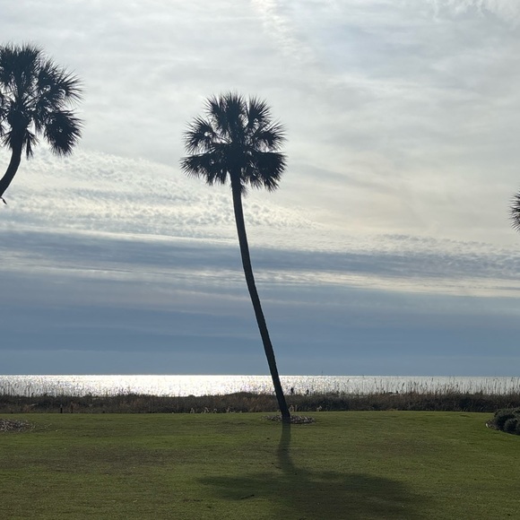 Meet your Posher, Amy - Picture 1 of 1